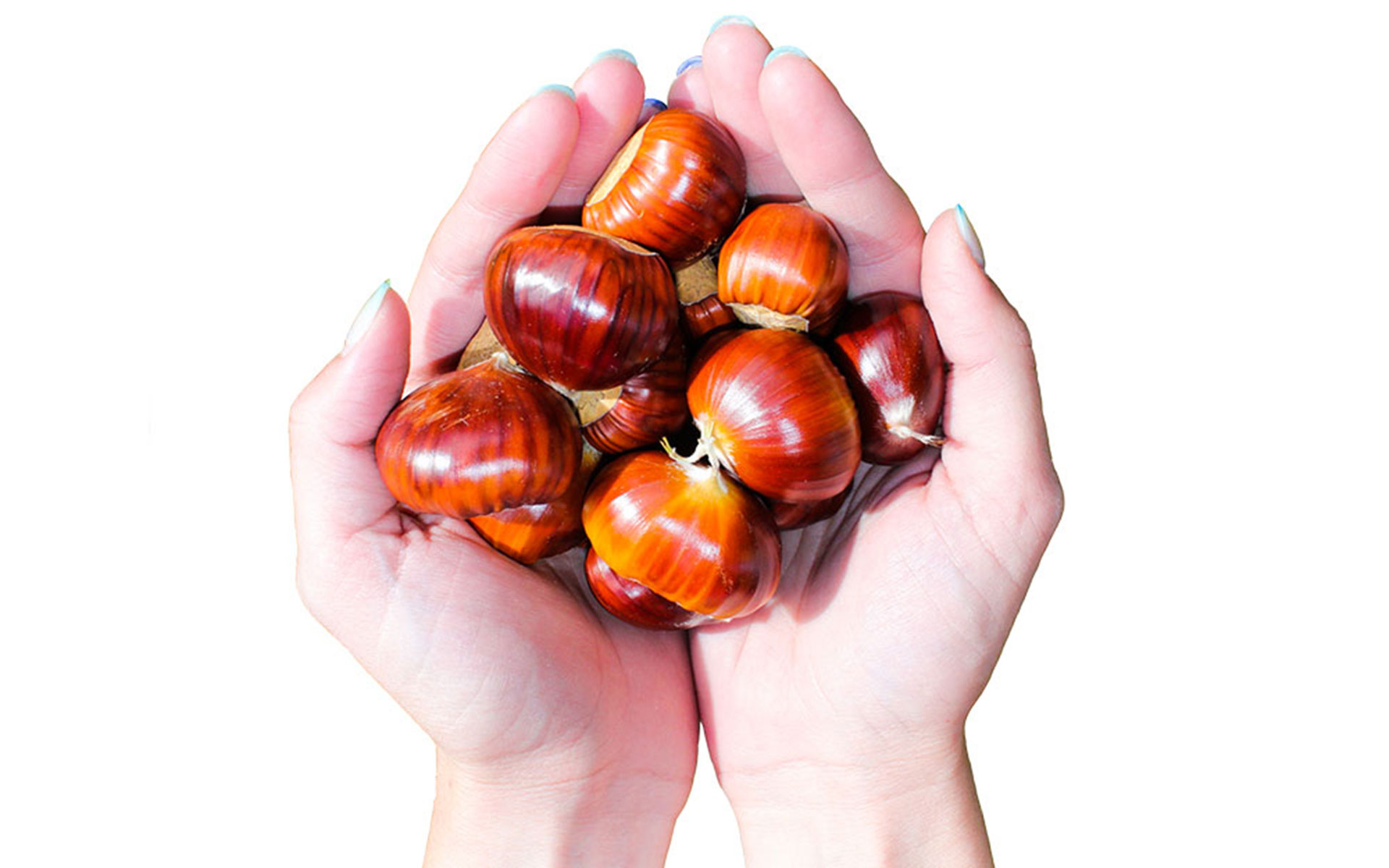 La Valle di Vico - Agriturismo - Castagne - Marroni dei Monti Cimini
