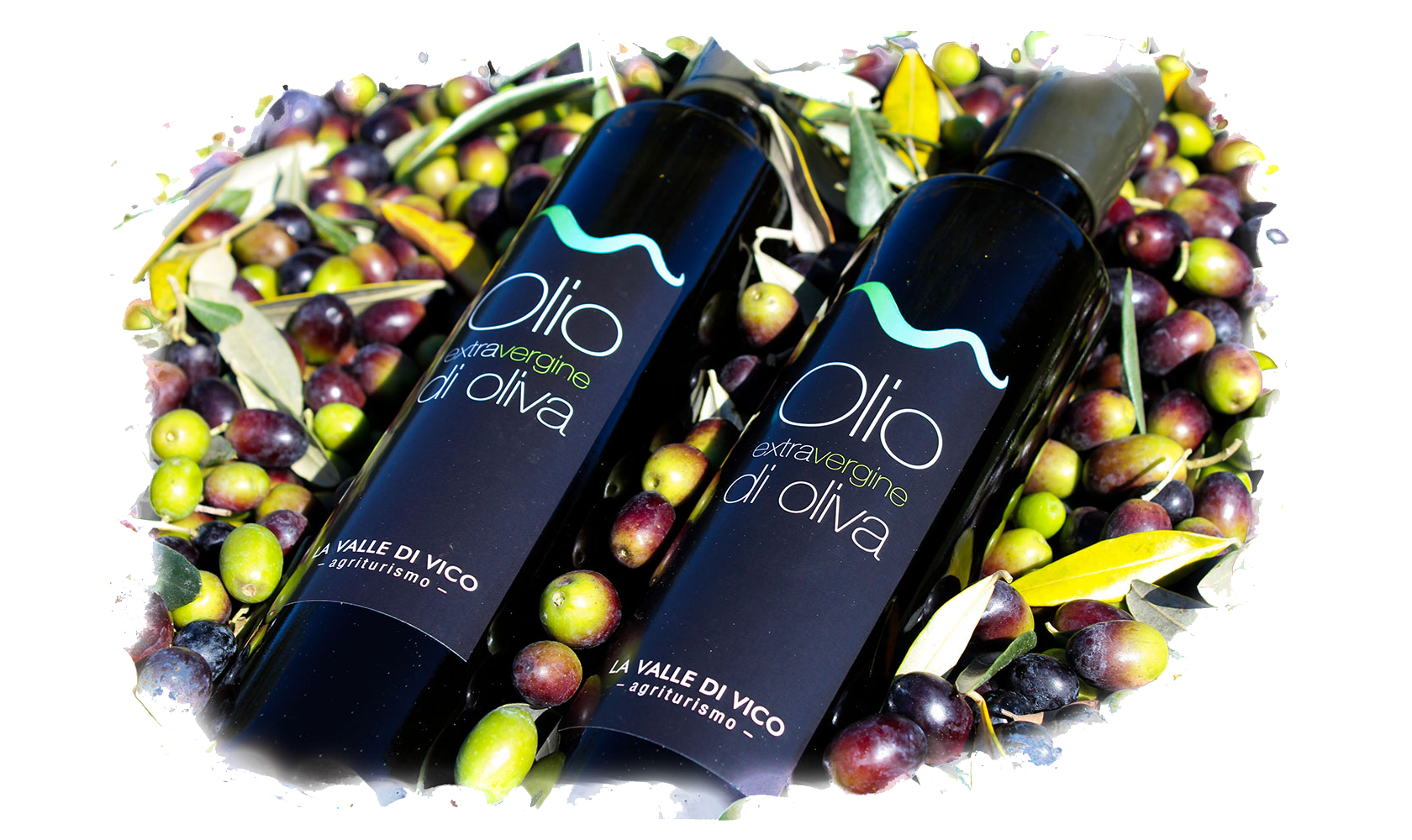 La Valle di Vico - Agriturismo - Olio EVO